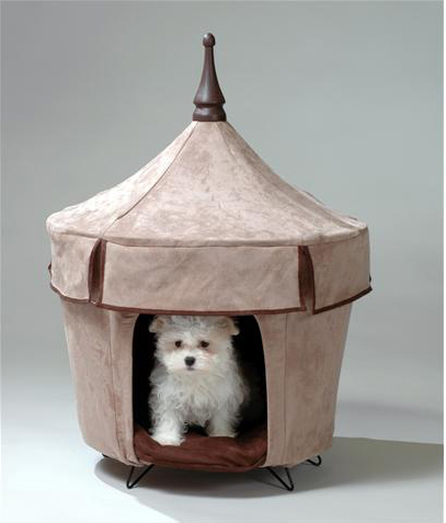 ��������� ���� ��� ��������� �����