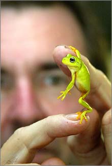 �� �������, � �������