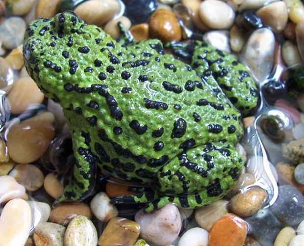 �� �������, � �������