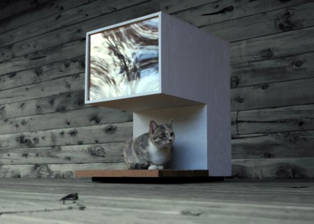 ����������� ��� �����