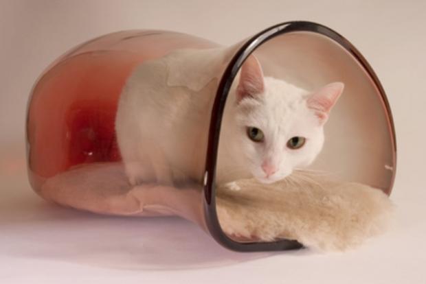 ���������� ������