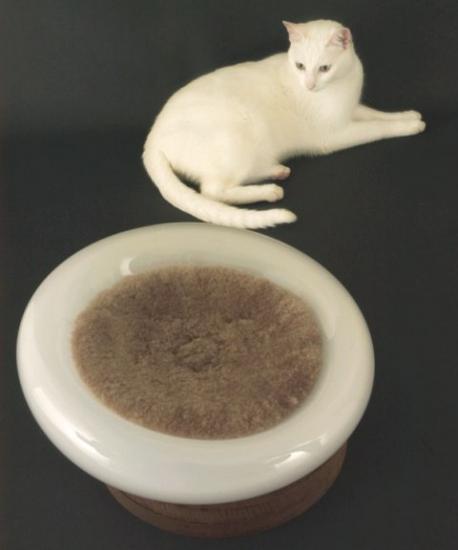 ���������� ������