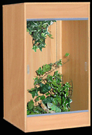 Древесный виварий Древесный виварий