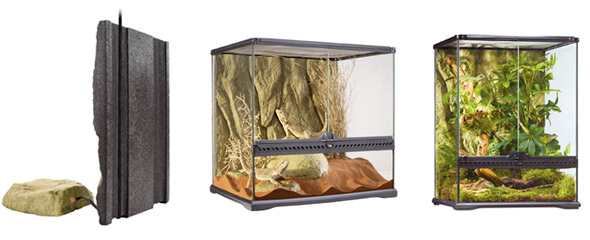 ����� ������ � ��� ����