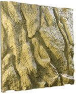 ����� ������ � ��� ����