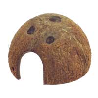 ����� ������ � ��� ����