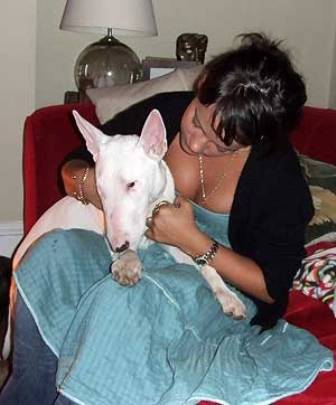 Лили Аллен спасла свою собаку Лили Аллен спасла свою собаку