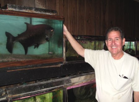 ������ ������ ��������