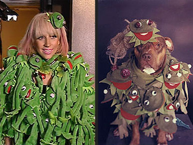 ������������ ������ ���� ����