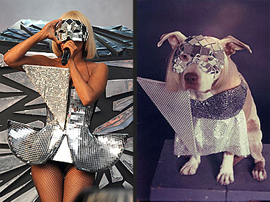 ������������ ������ ���� ����