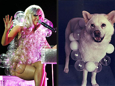 ������������ ������ ���� ����