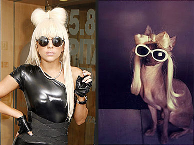 ������������ ������ ���� ����