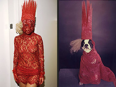 ������������ ������ ���� ����