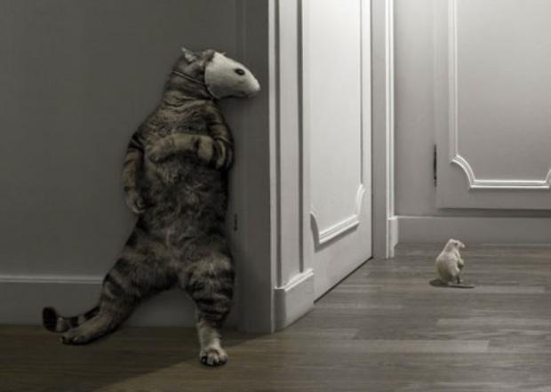 ������� ���� ���� ������