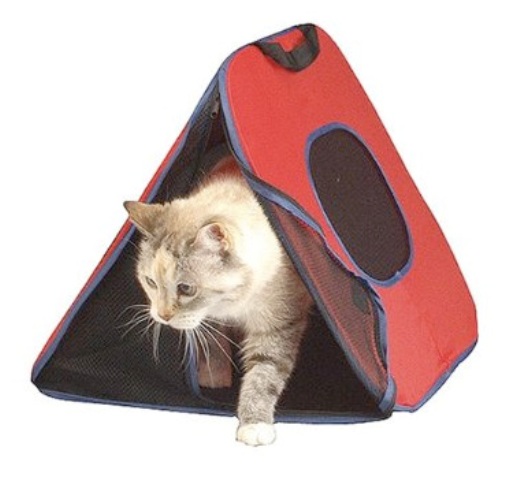 ��������� ��� �����