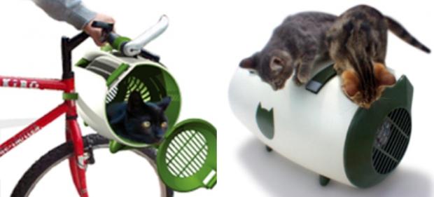 ��������� ��� �����