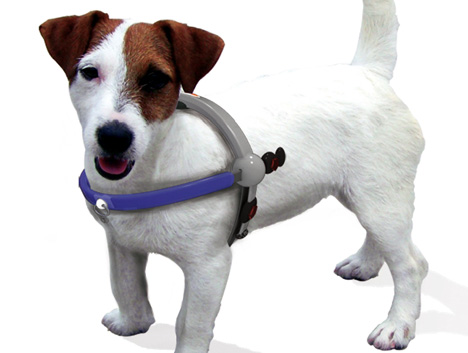 ������ ��� ����� � �����