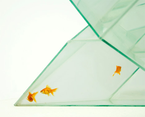 ���������  ��������