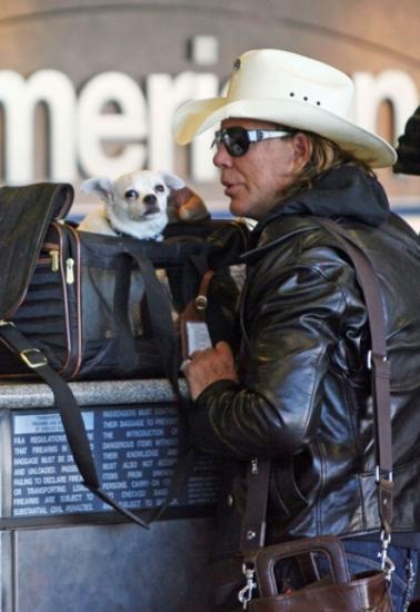 ����� �����