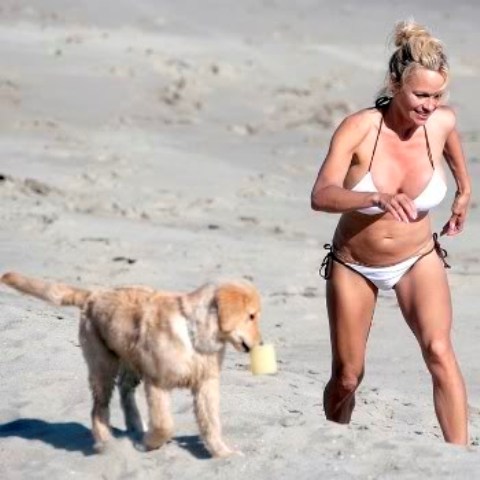 ����� �����