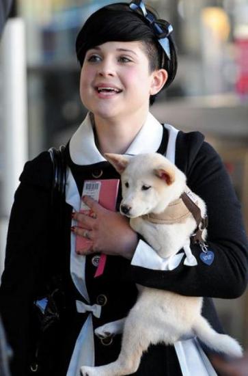 ����� �����