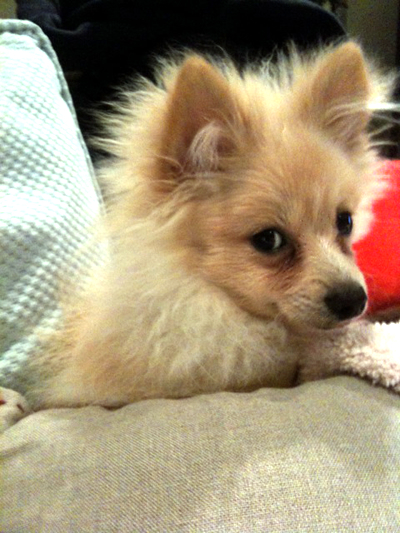 �������� ����� � ������