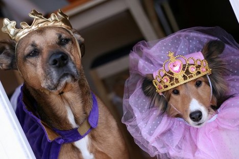 ��������� ����� ��� �����