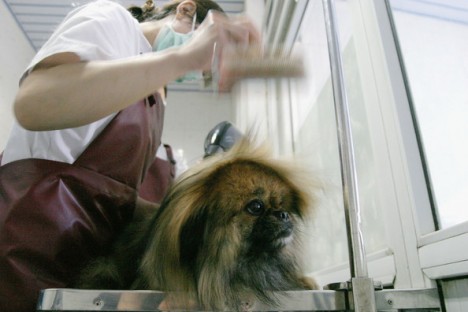 ��������� ����� ��� �����