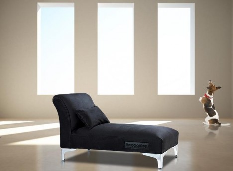 ������ ��� �����