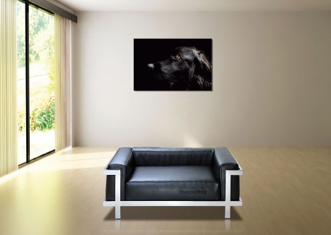 ������ ��� �����