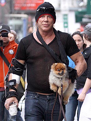 ��������� ������� � �������� �����