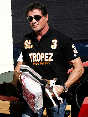 ��������� ������� � �������� �����