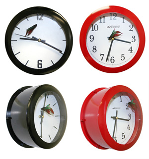 ����-��������