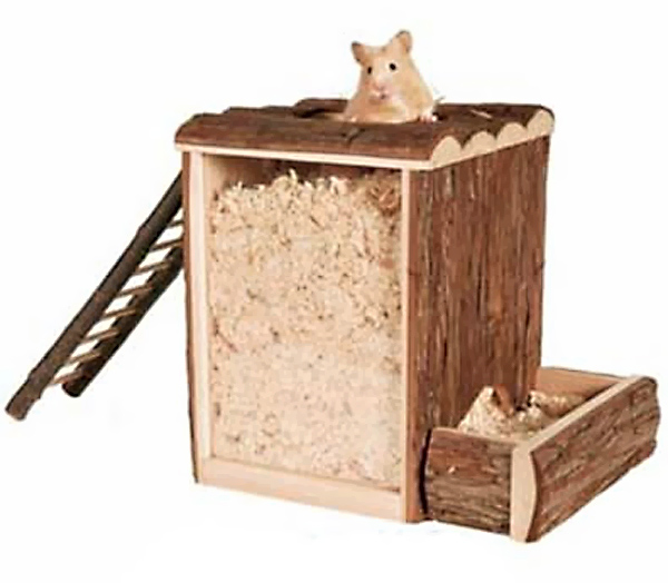 �����-����� ��� ������