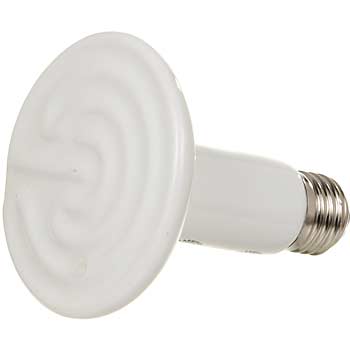 ���������� ��� �����������