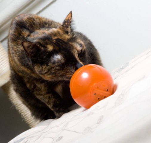 ������� ��� ����� � �����