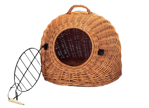 ��������� ��� ����� � ����������� �����