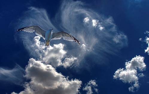 "����� �� ����� �������� ����������" - 40 ���!