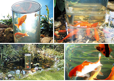 Лифт для рыб Лифт для рыб