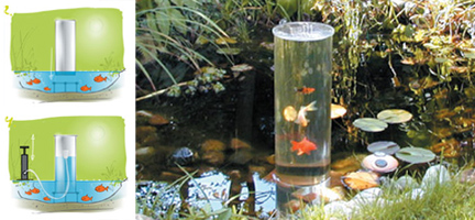 Лифт для рыб Лифт для рыб