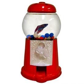 ��������-������� �� �������