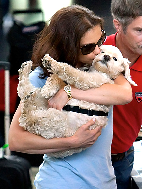 ������� �����������