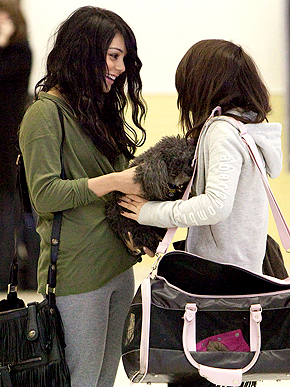 ������� �����������