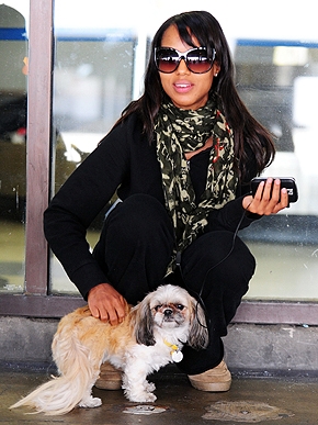 ������� �����������