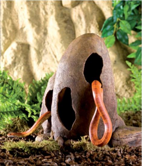 ������� ��� �������� � ����� �����