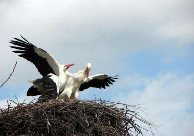 ��� ��� ������!