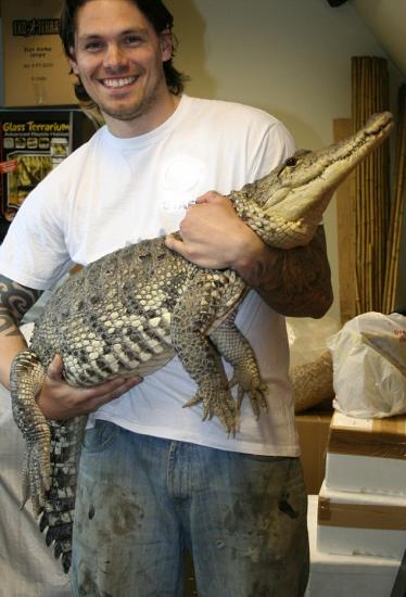 ���������, ���� ���������!