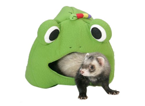 Лабиринт для хорьков: им понравится! Лабиринт для хорьков: им понравится!