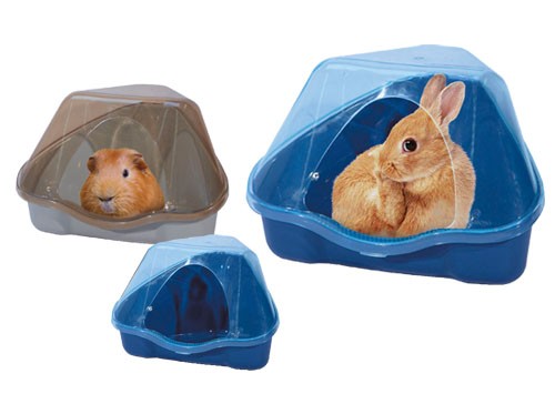 ������ ��� �������