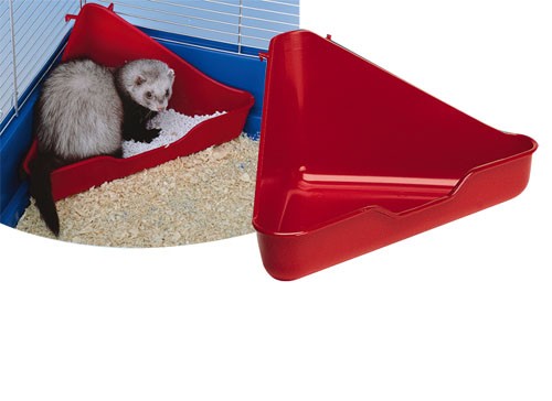 ������ ��� �������